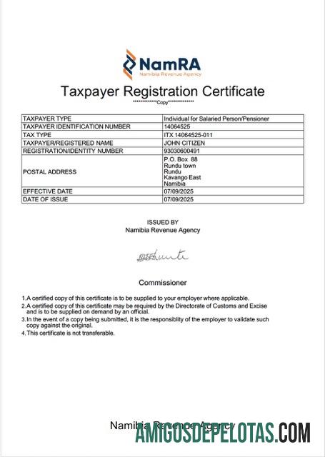 Certificado de registro de contribuinte da Namíbia em branco modelo Word e PDF